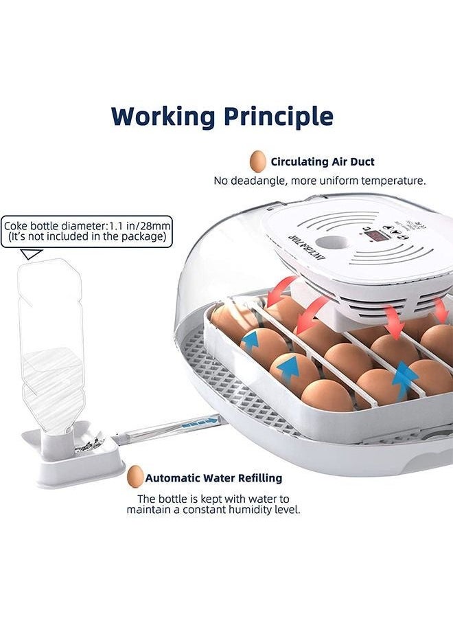 Generic - Egg Incubator 16 Eggs Incubators for Hatching Eggs with Automatic Egg Turning, Egg Candler and Automatic Water Adding for Hatching Chickens Ducks Geese Quails - Image 1