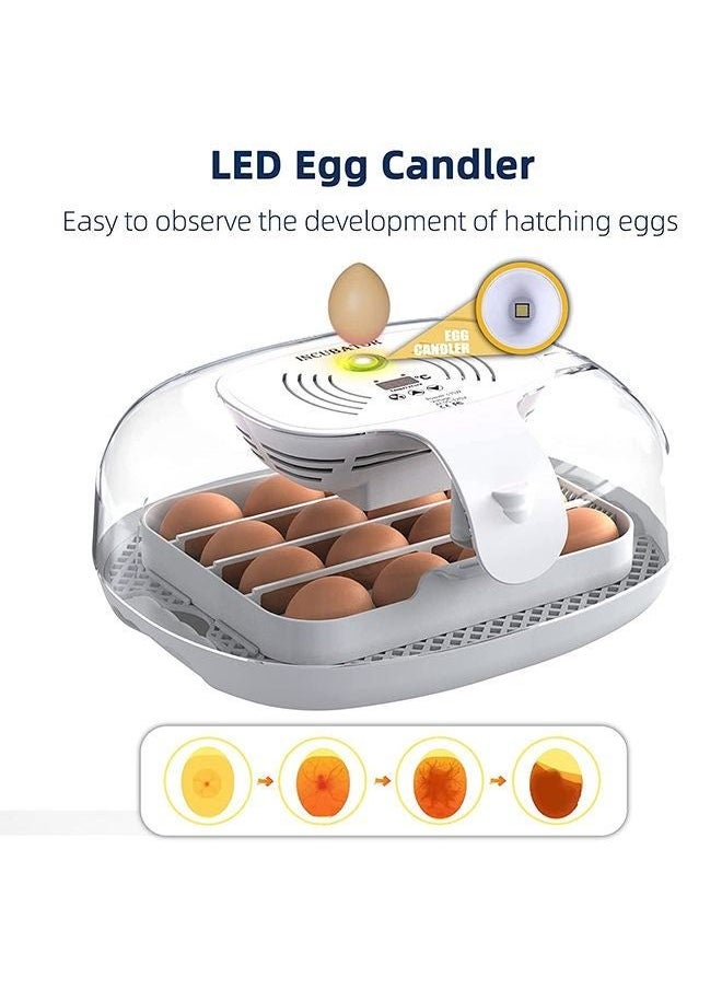 Generic - Egg Incubator 16 Eggs Incubators for Hatching Eggs with Automatic Egg Turning, Egg Candler and Automatic Water Adding for Hatching Chickens Ducks Geese Quails - Image 1