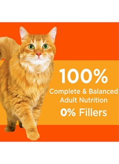 Iams Proactive Health Healthy Adult With Chicken 7Lbs  - Image 3