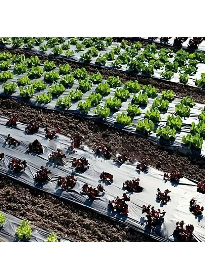 قماش إزالة الأعشاب الضارة من البولي بروبيلين المتين 1 × 10 متر مثقب لزراعة الفراولة والخضروات - Image 3
