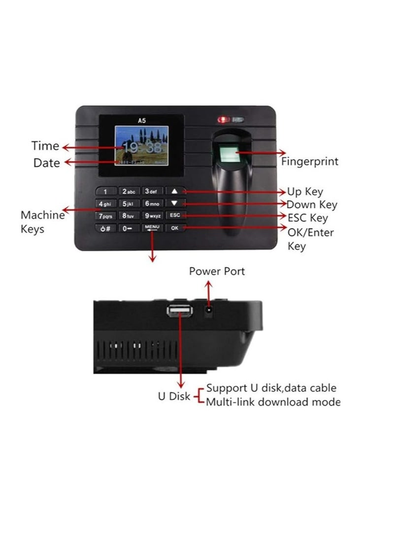 Generic Fingerprint Attendance Machine Time Recorder 2.4 Inch Color TFT Screen Clocking In Clock Machine Employee Attendance Check Fingerprint+Password Bulit-in Amplifier Employee Sign-in Recorder  - Image 3