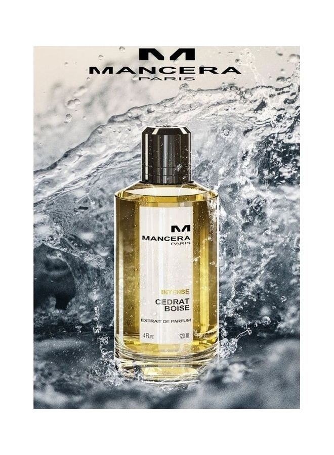 Mancera Intense Cedrat Boise EDP 125ml - Image 3