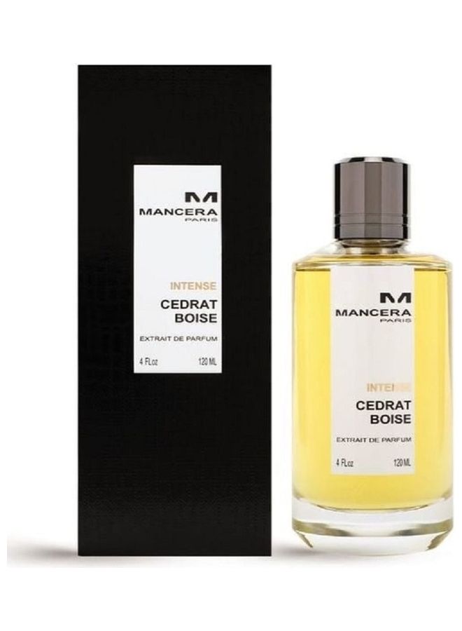 Mancera Intense Cedrat Boise EDP 125ml - Image 4