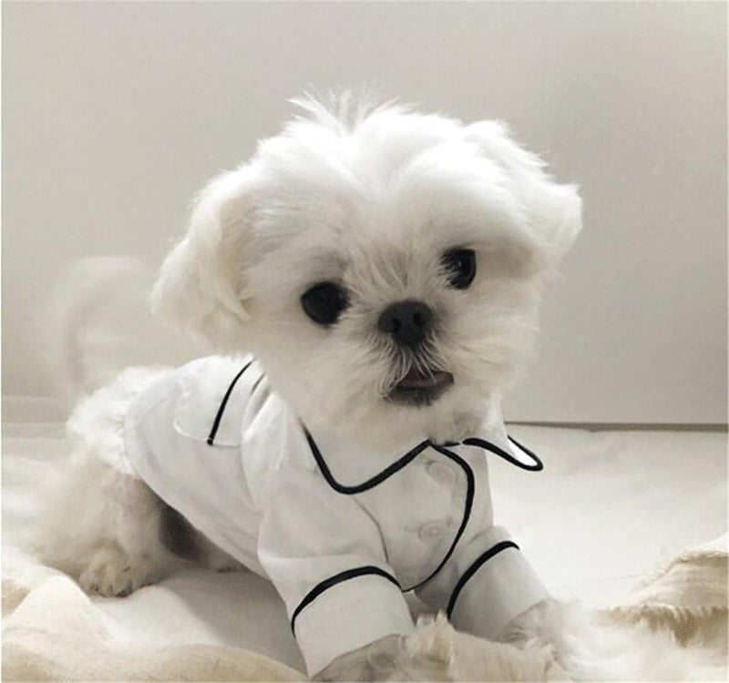 comfrt Cute Pet Dog Pajamas, Puppy Silk T-Shirt Nightdress, Elegant Soft Pet Nightgown Clothes, Fashionable Cat Sleepwear Apparel, Stylish Cozy Christmas Party Costumes, for Small Pet Dogs Cats (S, white) - Image 2