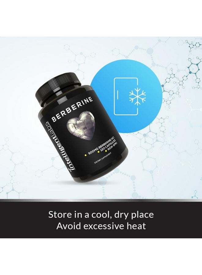 Intelligent Labs Berberine HCL Plus, Max Potency 500 MG Per Capsule, 120 Vegetarian Capsules, Third-Party Checked Berberine Supplement for Purity, Plant-Based, Gluten Free & Non-GMO - Image 4