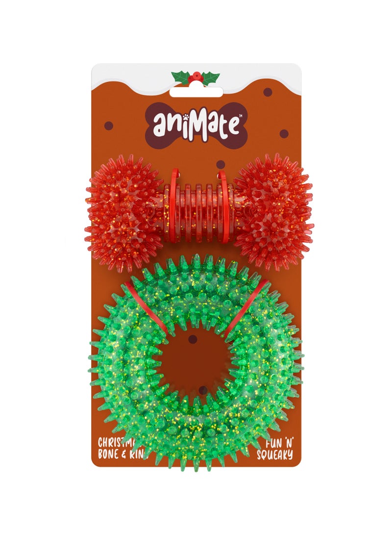 Webbox Christmas Tpr Ball  And Bone Gift Set