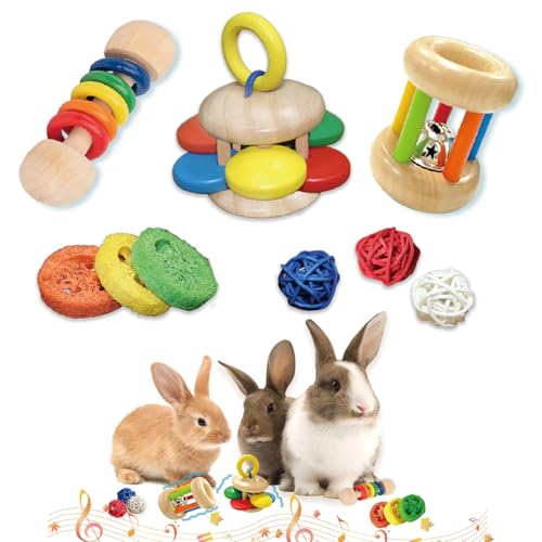 QWR 9PCS Wooden Bunny Toys,Safe Rabbit & Guinea Pigs Teeth Grinding Toy for Chinchillas, Hamsters & Small Animals - Indoor & Outdoor - Image 1