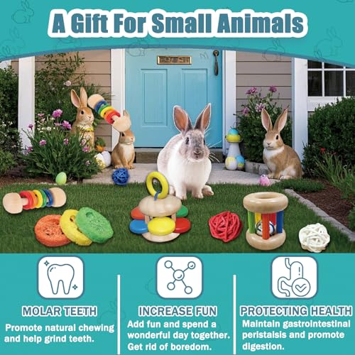 QWR 9PCS Wooden Bunny Toys,Safe Rabbit & Guinea Pigs Teeth Grinding Toy for Chinchillas, Hamsters & Small Animals - Indoor & Outdoor - Image 5