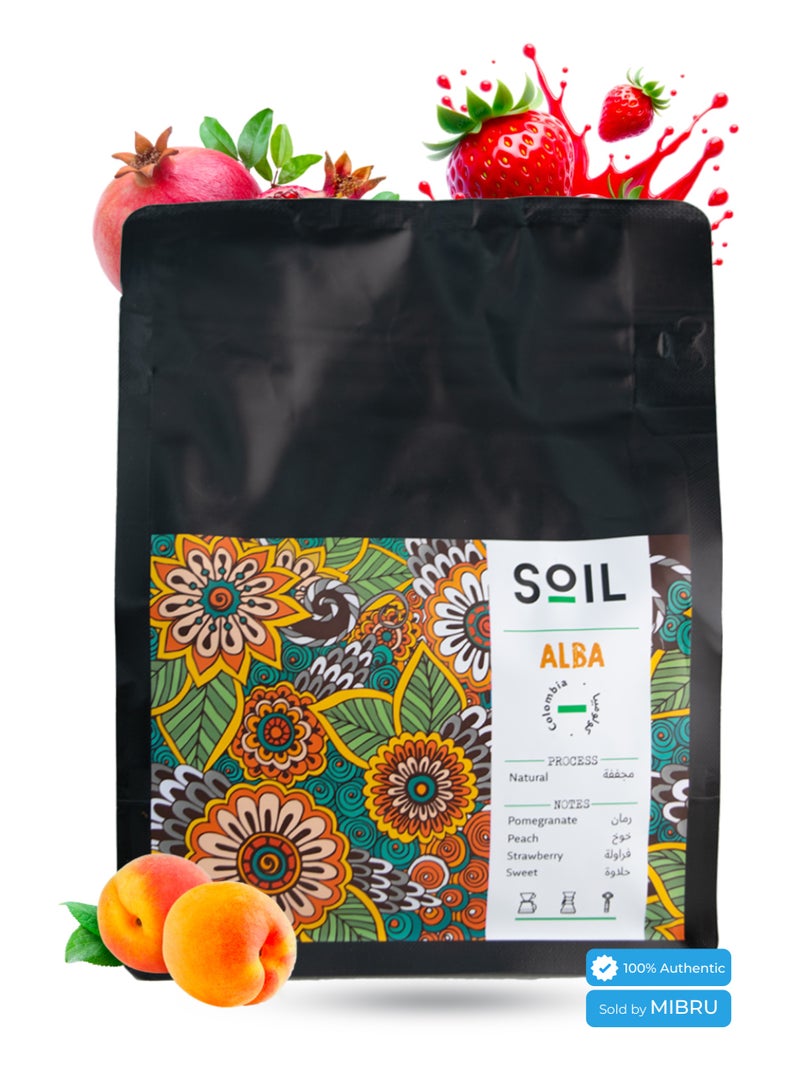 SOIL Whole Coffee Bean Special Package 3 Coffee Bean Luxury Coffee Beans from Soil - Image 4