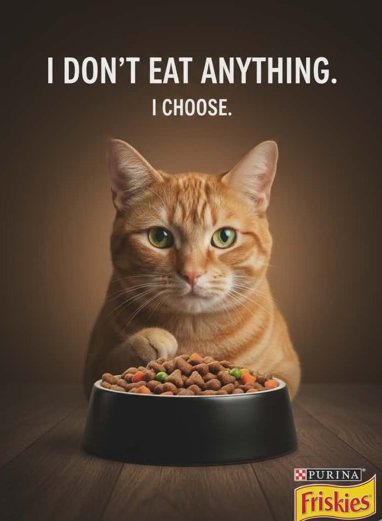 Purina FRISKIES Cat Chicken & Vegetables 300g - Image 2