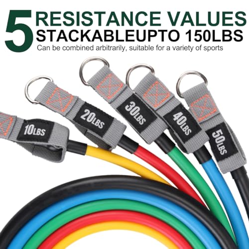 zhiamz Resistance Bands with Handles, Single Resistance Bands, Exercise Bands with Handles, for Resistance Training, Physical Therapy, Home Workouts, Fitness, Pilates, TPE - Image 2