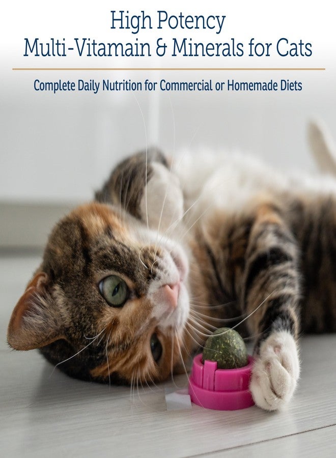 ركس فيتامينز فيتامينات أساسية للقطط - دعم يومي للمناعة وصحة عامة - يحتوي على التورين وفيتامين ب12 ونبات شوك الحليب - مسحوق متعدد الفيتامينات والمعادن للقطط مع سبيرولينا وفيتامين ب - 4 أونصة - Image 2