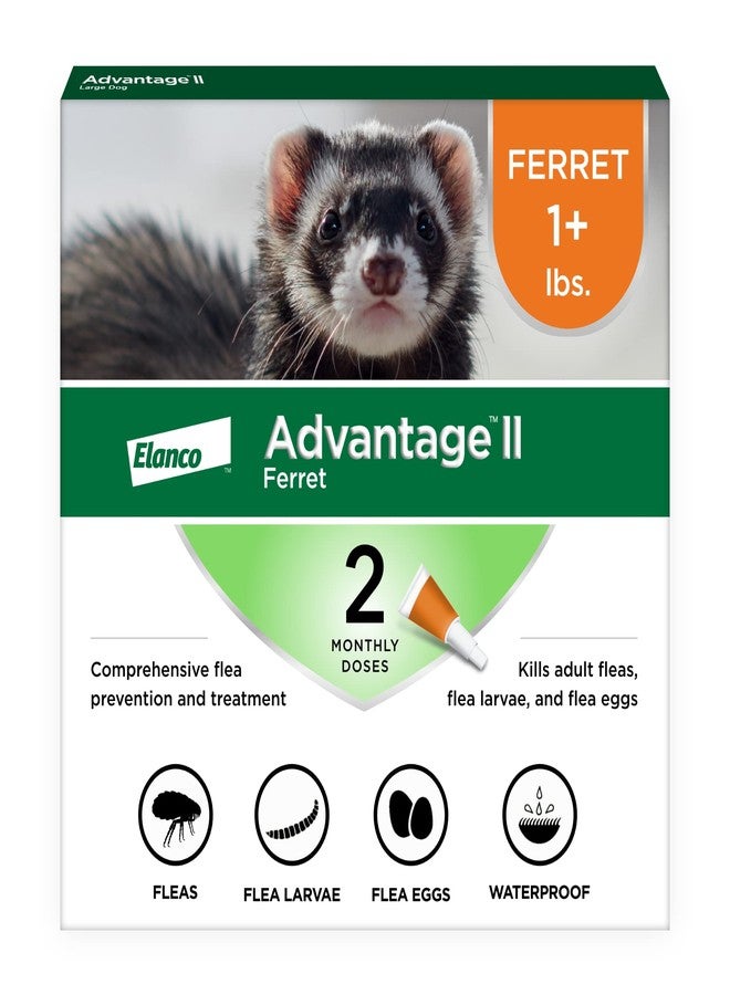 Advantage II Ferret Vet-Recommended Flea Treatment & Prevention | Ferret 1+ lbs. | 2-Month Supply - Image 1