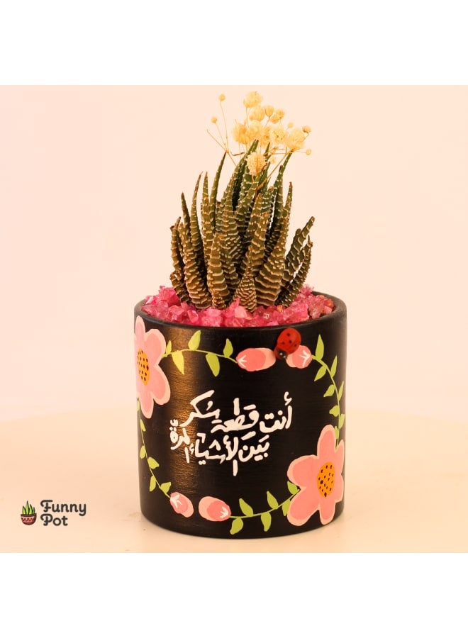 Decorative Handmade Pottery Plant Pot with natural cactus - black - 18*10cm