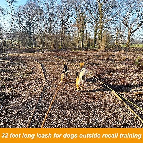 Vivifying Long Dog Leash, 32ft Reflective Dog Training Leash for Outside and Yard, Floating Long Line Lead with Soft Handle for Camping, Hiking, Swimming, Beach and Lake (Orange) - Image 5