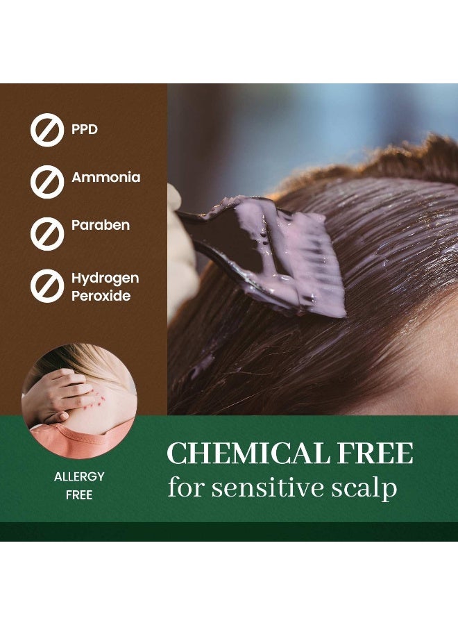 Herb Speedy DONGSUNG Herb Speedy Color Cream Soft Black 1 Pack PPDFree AmmoniaFree Vegan Hair Dye with Sun Protection Odorless Gentle for Sensitive Scalp No Eye or Scalp Irritation - Image 2