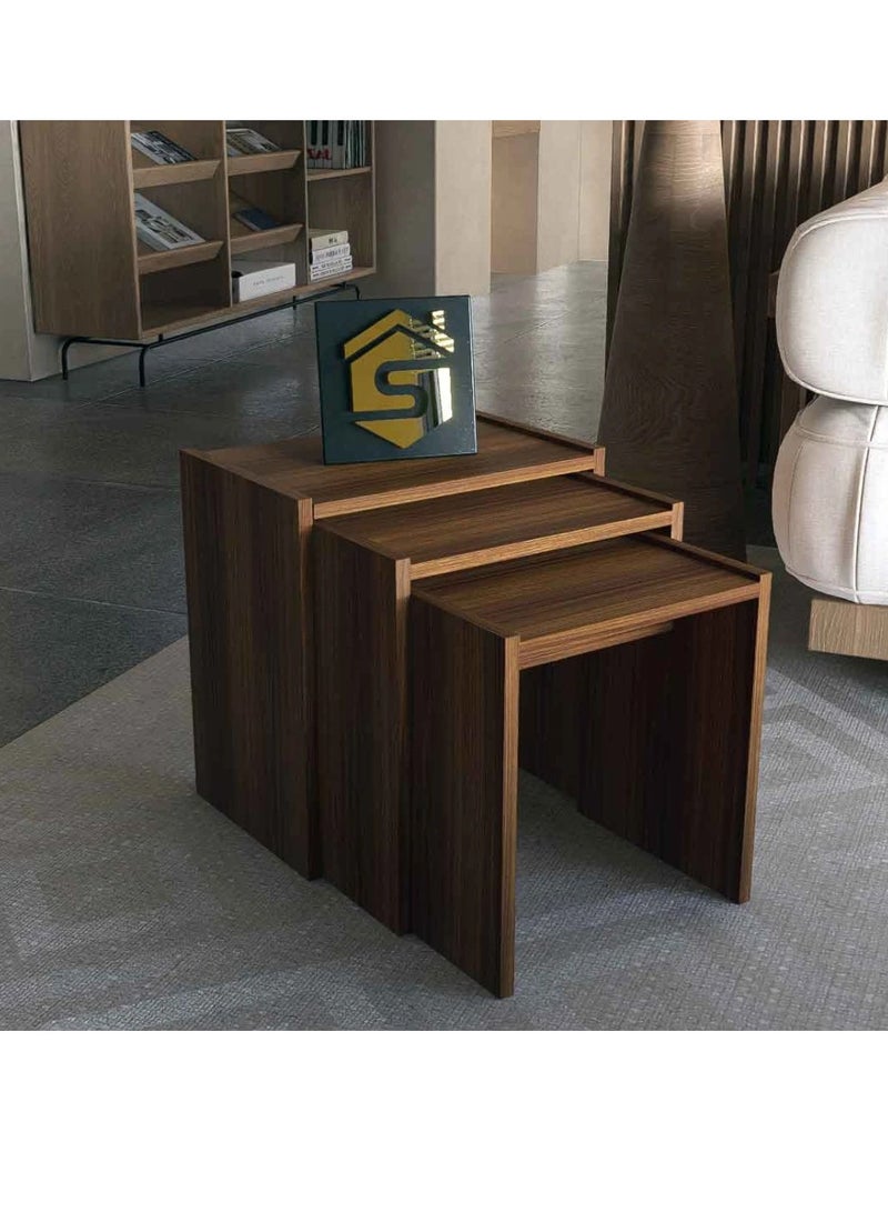 Stylish Home 3 Brown Wood Service Tables - CT02 80x80x48  cm - Image 1