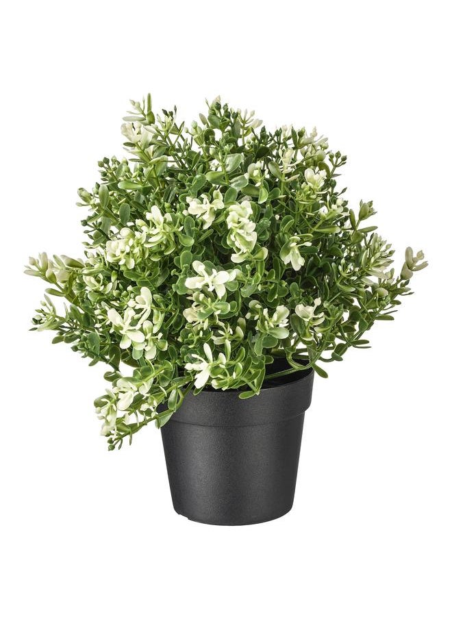 Green Tiger Artificial potted plant, thyme, 9 cm  - Image 1