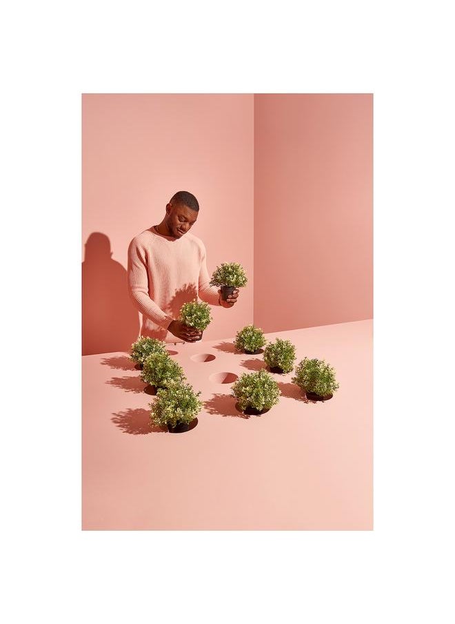 Green Tiger Artificial potted plant, thyme, 9 cm  - Image 2
