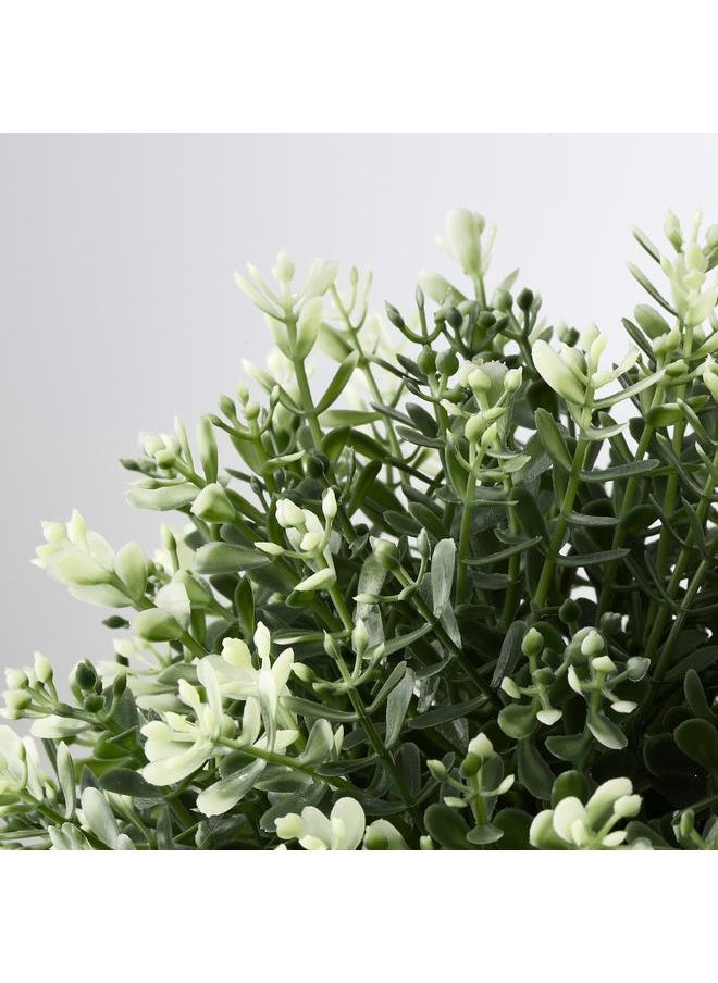 Green Tiger Artificial potted plant, thyme, 9 cm  - Image 5