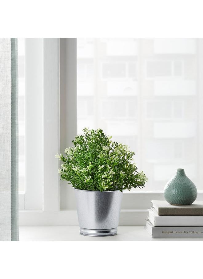 Green Tiger Artificial potted plant, thyme, 9 cm  - Image 4