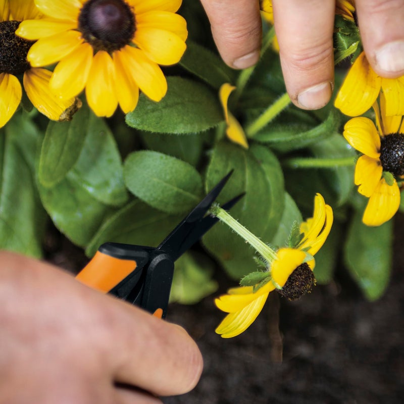 Fiskars 6" Pruning Scissors (2-Pack) for Flowers, Buds, Weeds and Small Plants, Garden Snips with Resin Resistant Nonstick Stainless Steel Blades, Gardening Trimmers with Comfortable Handle - Image 5