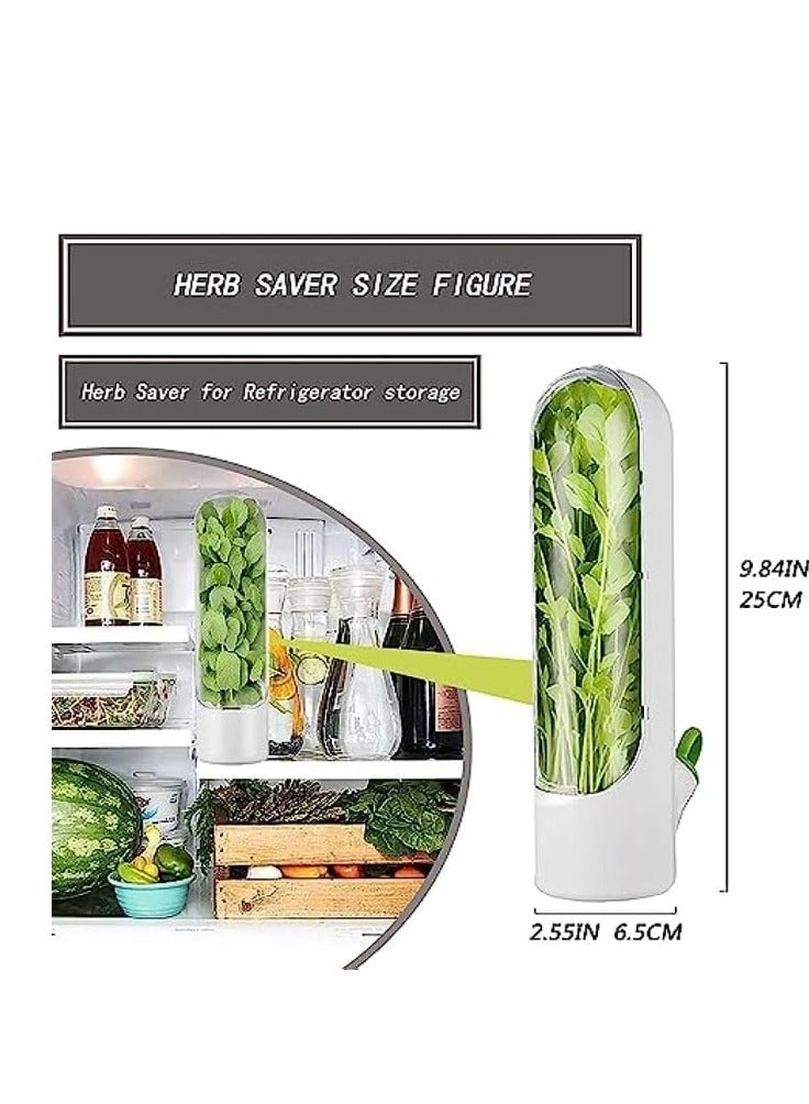 OASIS-TH Herb Keeper Kitchen Storage Container To Keep Your Vegetables Fresh In Refrigerator Savor Pod For Cilantro Mint Parsley Asparagus 2 packs - Image 3