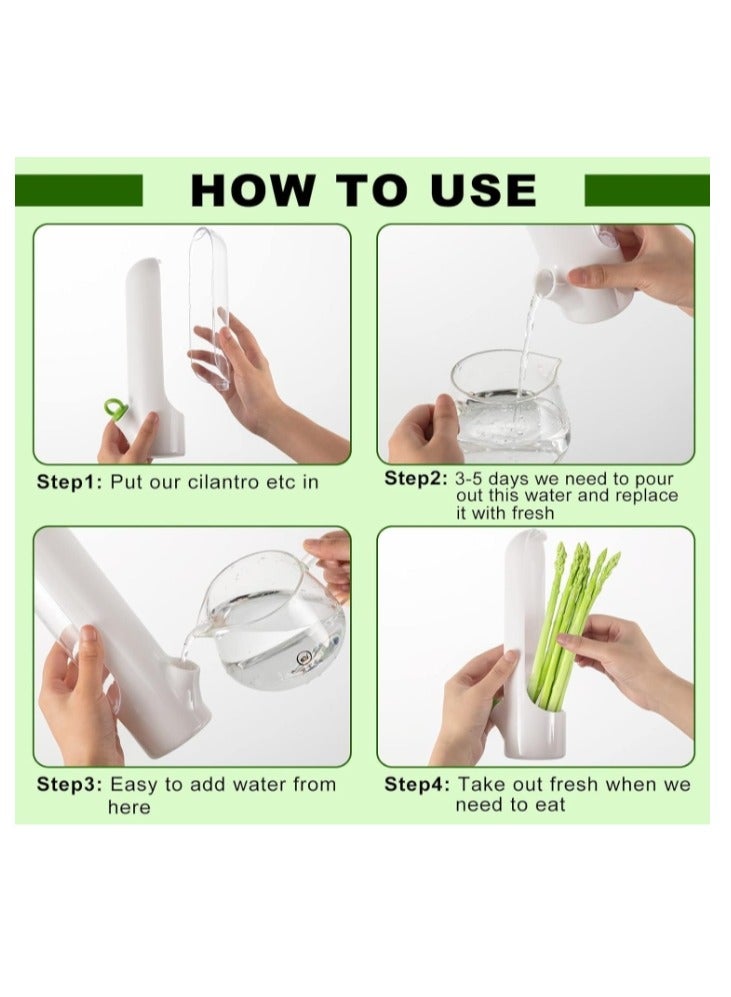 OASIS-TH Herb Keeper Kitchen Storage Container To Keep Your Vegetables Fresh In Refrigerator Savor Pod For Cilantro Mint Parsley Asparagus 2 packs - Image 5