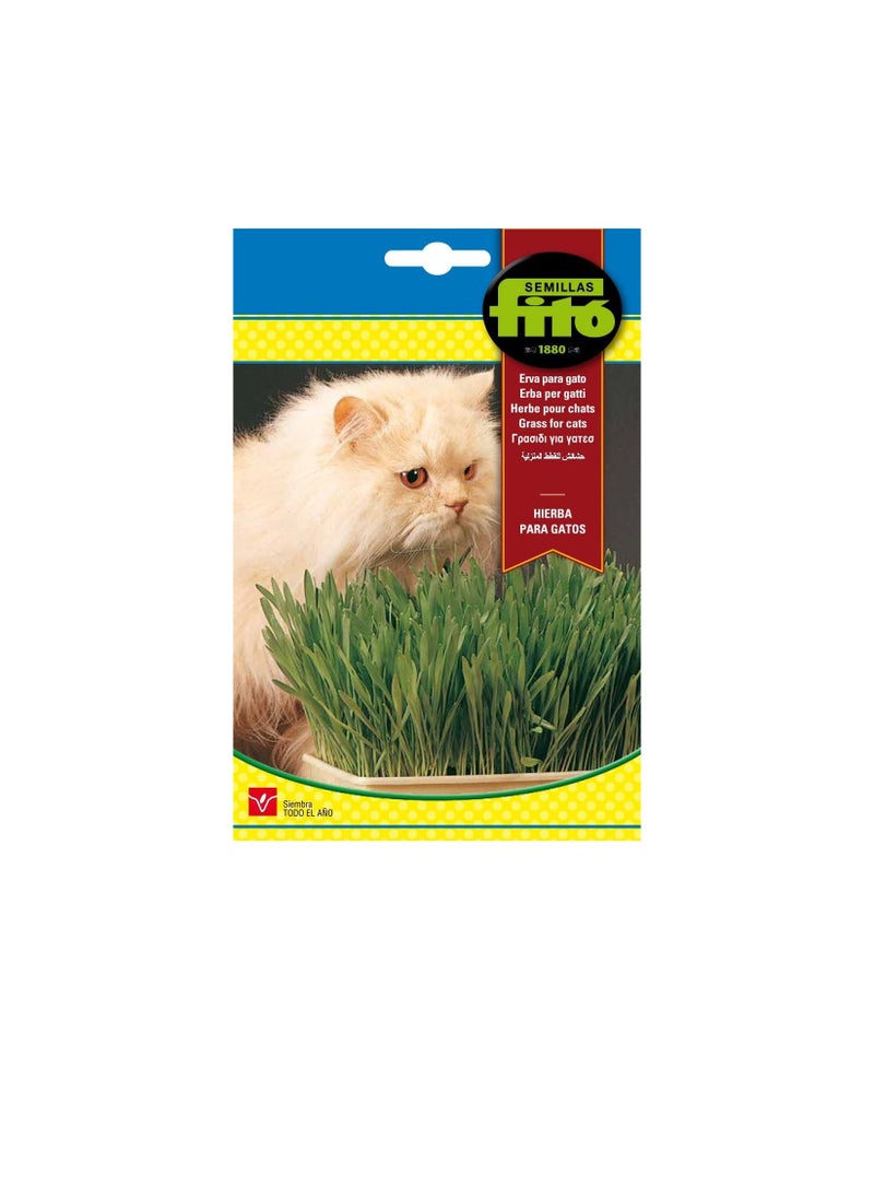 Fito Semilla Cat Seeds Fito Grass  - Image 3