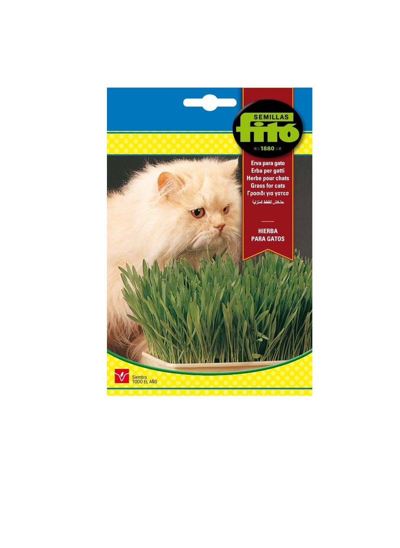 Fito Semilla Cat Seeds Fito Grass  - Image 1