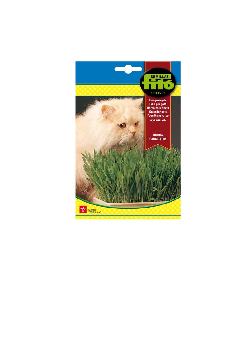Fito Semilla Cat Seeds Fito Grass  - Image 2