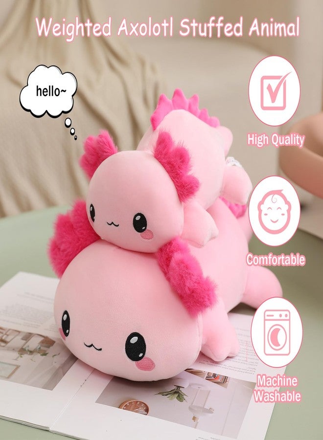 SQEQE Weighted Axolotl Plush, Weighted Axolotl Stuffed Animal, Cute Plushies Soft Pink Pillow Toy Gift for Kids Adults 9.8 Inch, 0.8 lbs - Image 2
