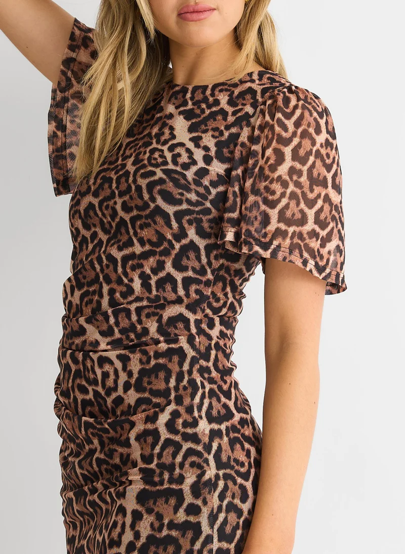 Gini London  Brown Animal Mesh Stretch Mini Dress for Women | Best Price UAE