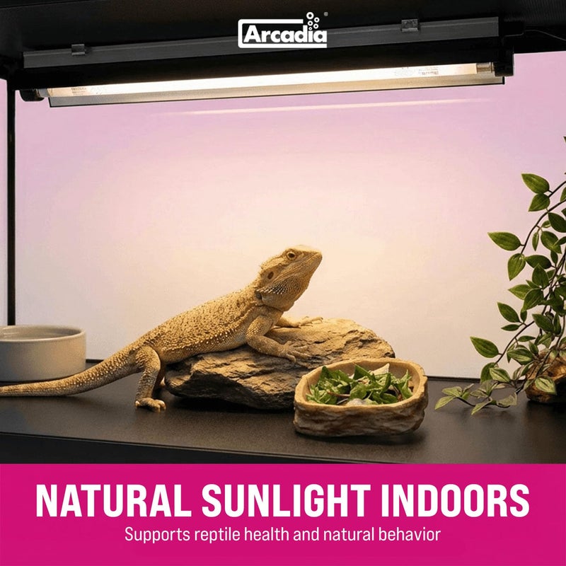 Arcadia T5 UVB Reptile Light Fixture Kit 34" Long 39 Watts 14% UVB Dragon â€“ Complete UVB Light for Reptiles, Turtles, Snake, Bearded Dragon Lamp, Long Lasting Easy to Use Professional Lighting - Image 2