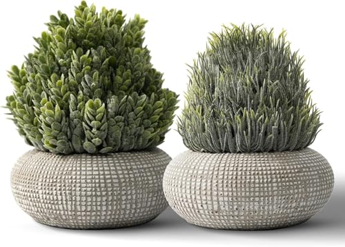 PENGYEE 2Pack Small Fake Plants, 6.1/5.7 Inch Artificial Plants Indoor in Cement Planter, Small Faux Plants Indoor for Room Bathroom Bedroom Farmhouse Kitchen Office Home Decor - Image 1