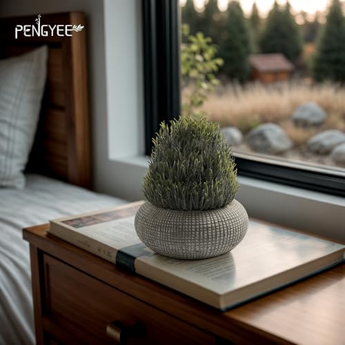 PENGYEE 2Pack Small Fake Plants, 6.1/5.7 Inch Artificial Plants Indoor in Cement Planter, Small Faux Plants Indoor for Room Bathroom Bedroom Farmhouse Kitchen Office Home Decor - Image 2