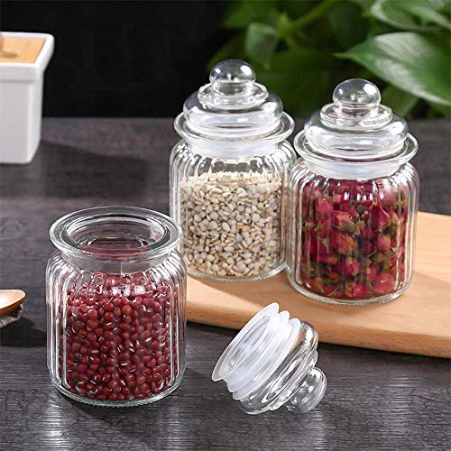 Mivana Glass Pop Glass Jar And Container With Air Tight Lid For Kitchen Storage 350 Ml Storage Container With Lid For Tea Coffee & Sugar, Dry Fruit Jars, Storage Box, Set of 3 (3, mt-9),Transparent - Image 1