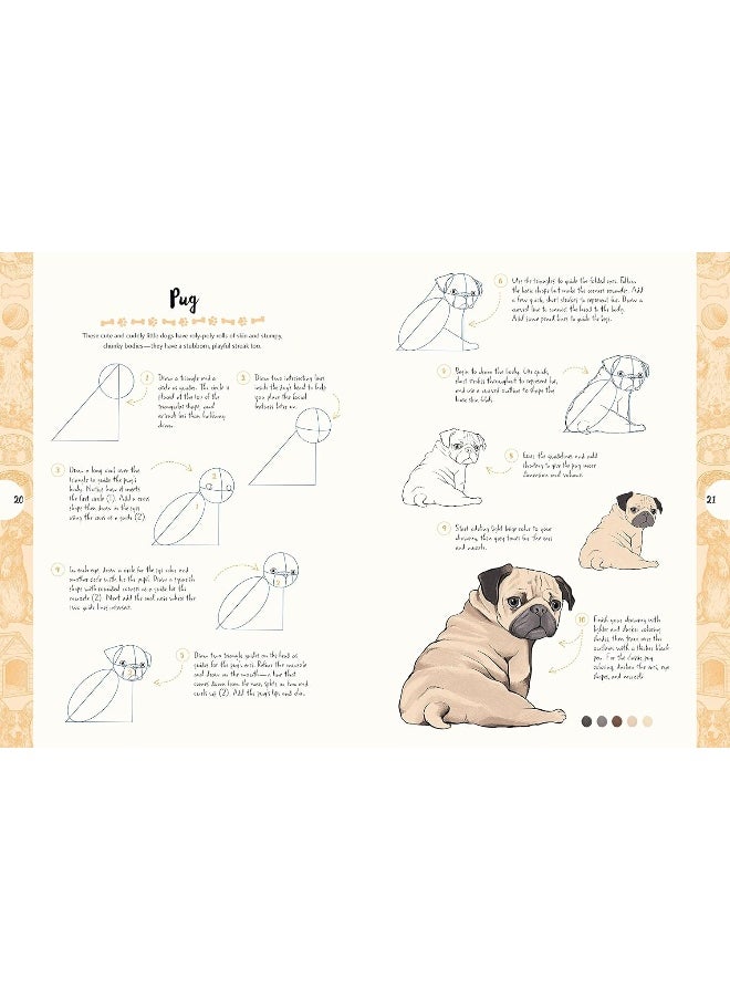 10 Step Drawing: Dogs: Draw Over 50 Delightful Dogs in 10 Easy Steps  - Image 3