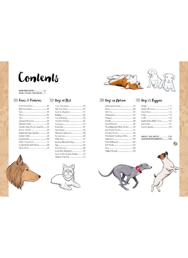 10 Step Drawing: Dogs: Draw Over 50 Delightful Dogs in 10 Easy Steps  - Image 4