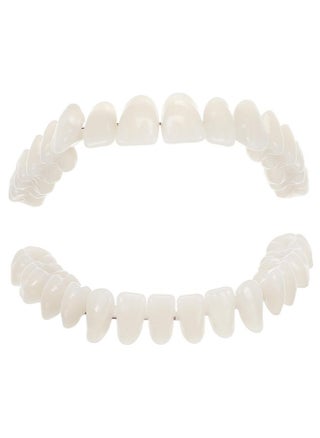 SOLUSTRE Teeth 3D Model 1 Set Model Dental Models for Students Human Teeth Model Dental Training Models Models Dental Display Models Fake Teeth Model Dedicated 3D False Teeth Model - pzsku/ZFCCE93DA4E42A872294CZ/45/_/1741329967/90a74333-a0a9-43fe-a45a-15f8a59c5e1f