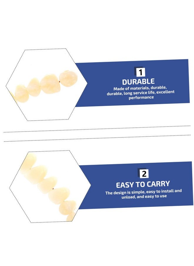 SOLUSTRE Teeth 3D Model 1 Set Model Dental Models for Students Human Teeth Model Dental Training Models Models Dental Display Models Fake Teeth Model Dedicated 3D False Teeth Model