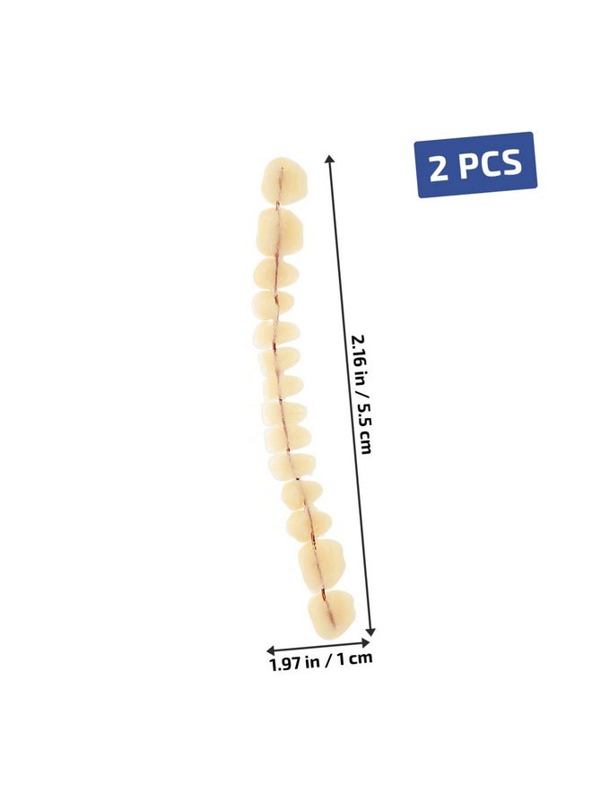 SOLUSTRE Teeth 3D Model 1 Set Model Dental Models for Students Human Teeth Model Dental Training Models Models Dental Display Models Fake Teeth Model Dedicated 3D False Teeth Model