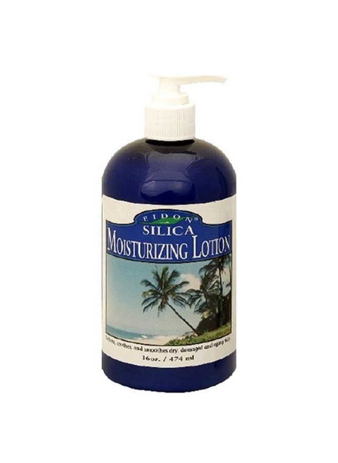 Eidon Silica & MSM Moisturizing Lotion, 16-Ounce - pzsku/ZFCCE95CFD79F0BEE98DEZ/45/_/1681934325/8975b9bf-1cbb-48b9-95f9-9e15b4e84252