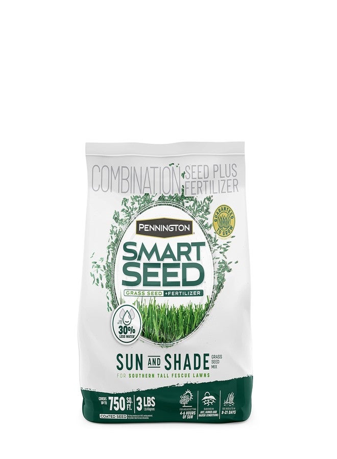 Pennington Smart Seed Sun and Shade Tall Fescue Grass Seed Mix for Southern Lawns 3 lb - Image 1