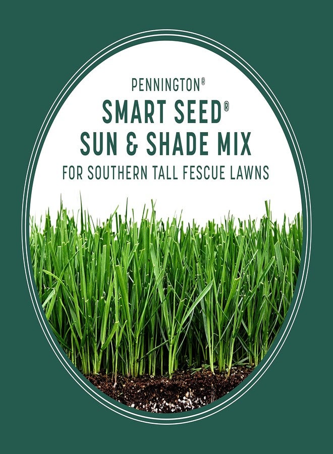 Pennington Smart Seed Sun and Shade Tall Fescue Grass Seed Mix for Southern Lawns 3 lb - Image 5