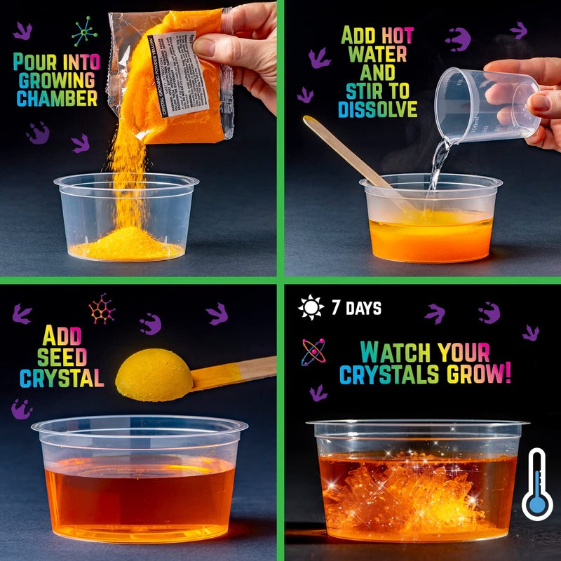 Original Stationery Dinosaur Crystal Growing Kit - Holiday STEM Science Gift - DIY Crystal Growing Dinosaur Kit - Display-Ready Kids Mini Terrarium - Multicolor, 17-Piece, Ages 7 & Up - Image 2