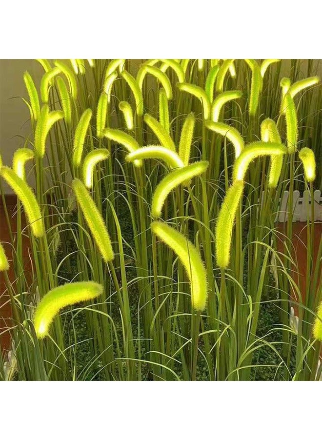 رولستيمي 1 مجموعة من 2 أضواء الشمسية-الكلب الذيل الحديقة ، قابل للتعديل نوع الإضاءة ، يمكن تزيين فناء / حديقة / الشارع / غرفة المعيشة - Image 1