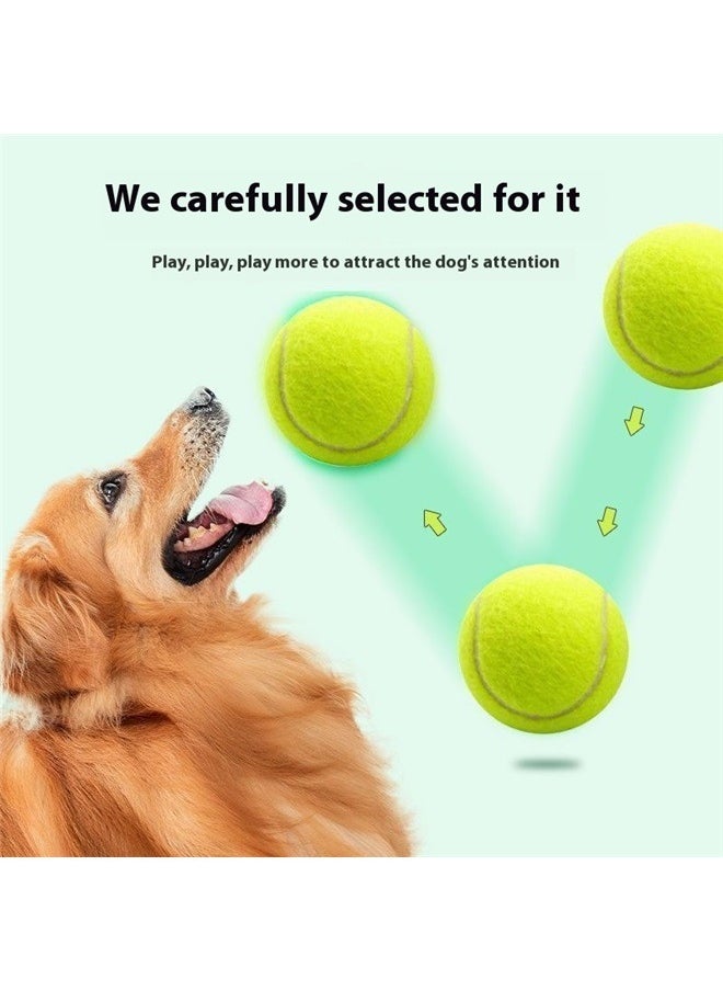 yongsheng Giant Tennis Ball For Dog Chew Toy Lemon Green， Giant Tennis Ball Large Dog Tennis Ball Oversize Tennis Balls for Outdoor/Indoor Sports Dog Ball Gift with Needle，5.5cm  - Image 3