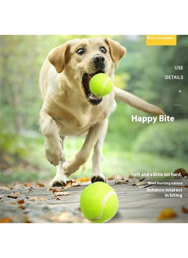yongsheng Giant Tennis Ball For Dog Chew Toy Lemon Green， Giant Tennis Ball Large Dog Tennis Ball Oversize Tennis Balls for Outdoor/Indoor Sports Dog Ball Gift with Needle，5.5cm  - Image 4