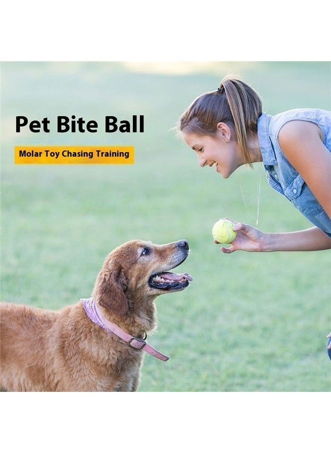 yongsheng Giant Tennis Ball For Dog Chew Toy Lemon Green， Giant Tennis Ball Large Dog Tennis Ball Oversize Tennis Balls for Outdoor/Indoor Sports Dog Ball Gift with Needle，5.5cm  - Image 5